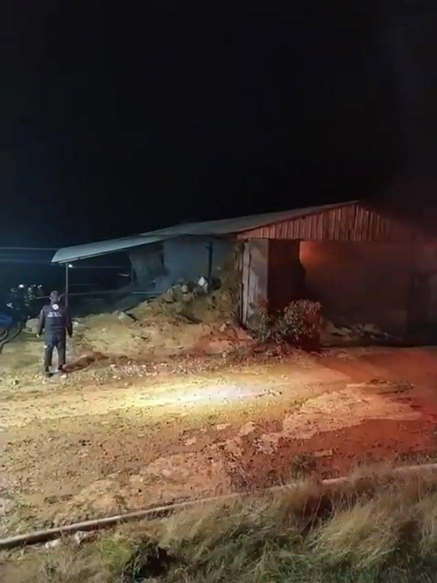 Bursa'da samanlıkta yangın çıktı