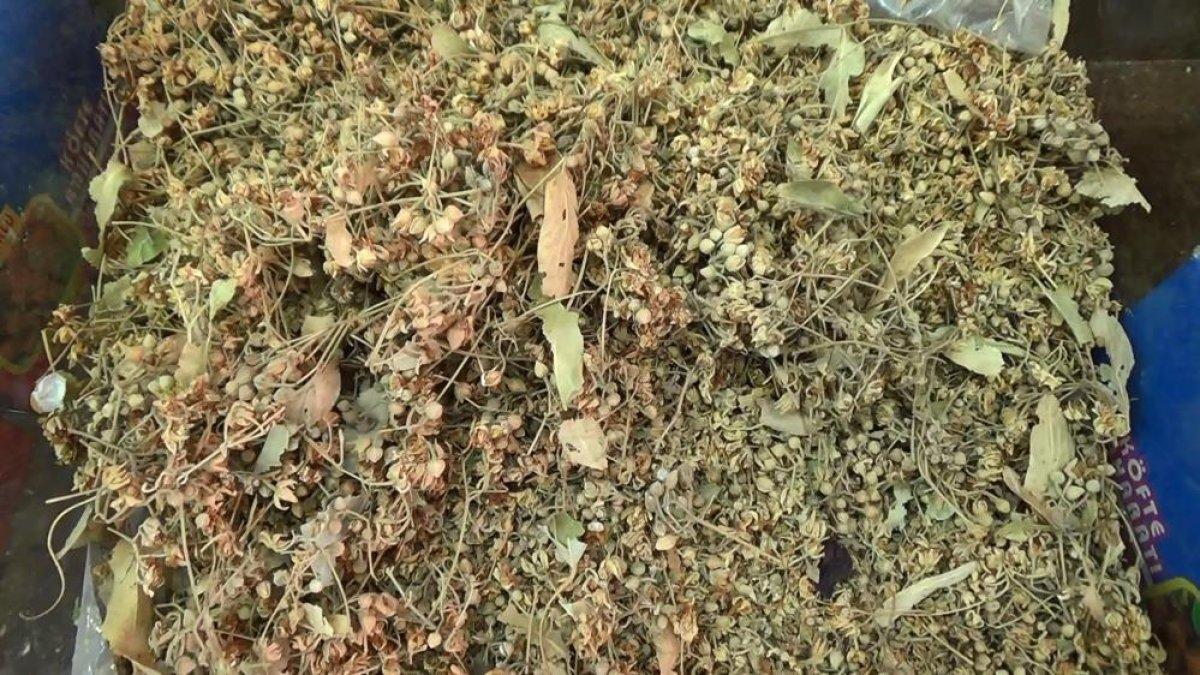 Diyarbakırlılar soğuktan korunmak için çareyi aktarlarda aradı