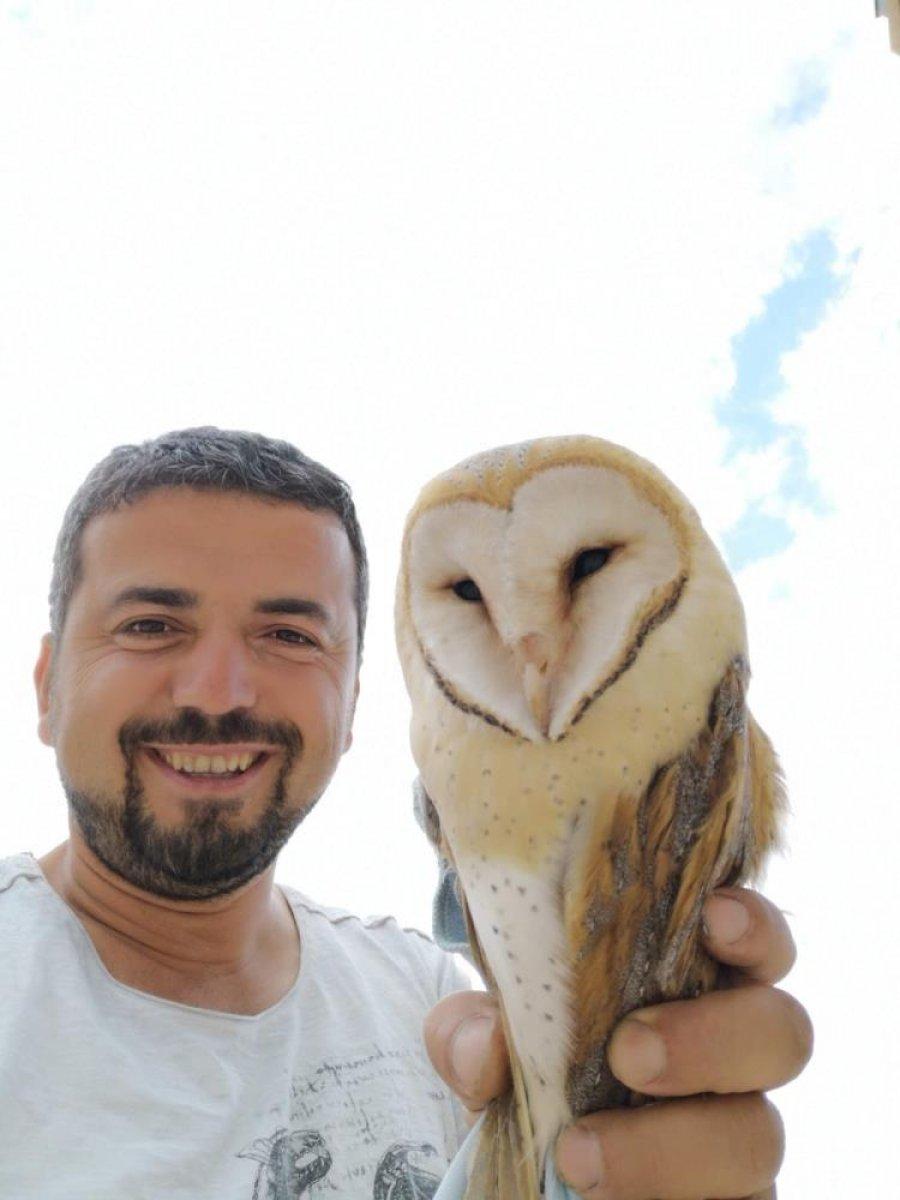 Bursa'da bir evin penceresinden dev baykuş girdi