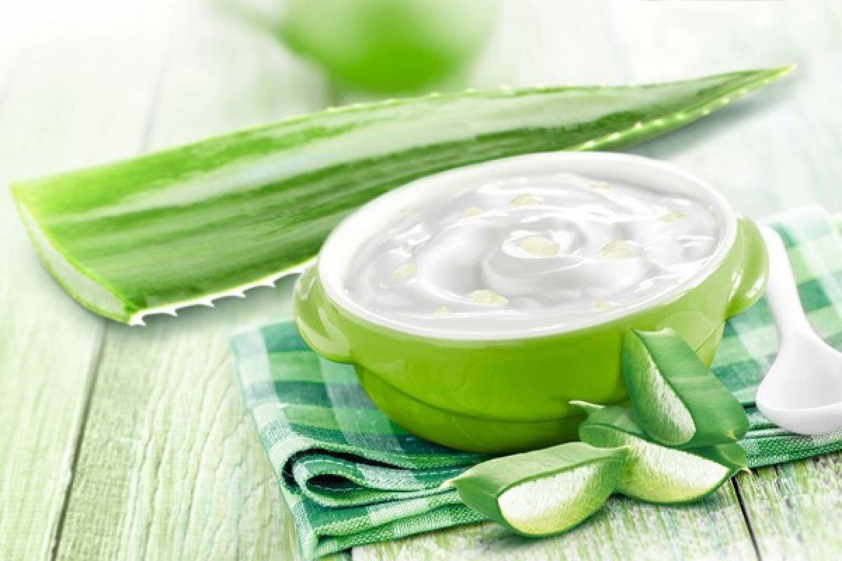 Aloe vera bitkisi nasıl yenir? İşte tüketebilmeniz için 5 yöntem
