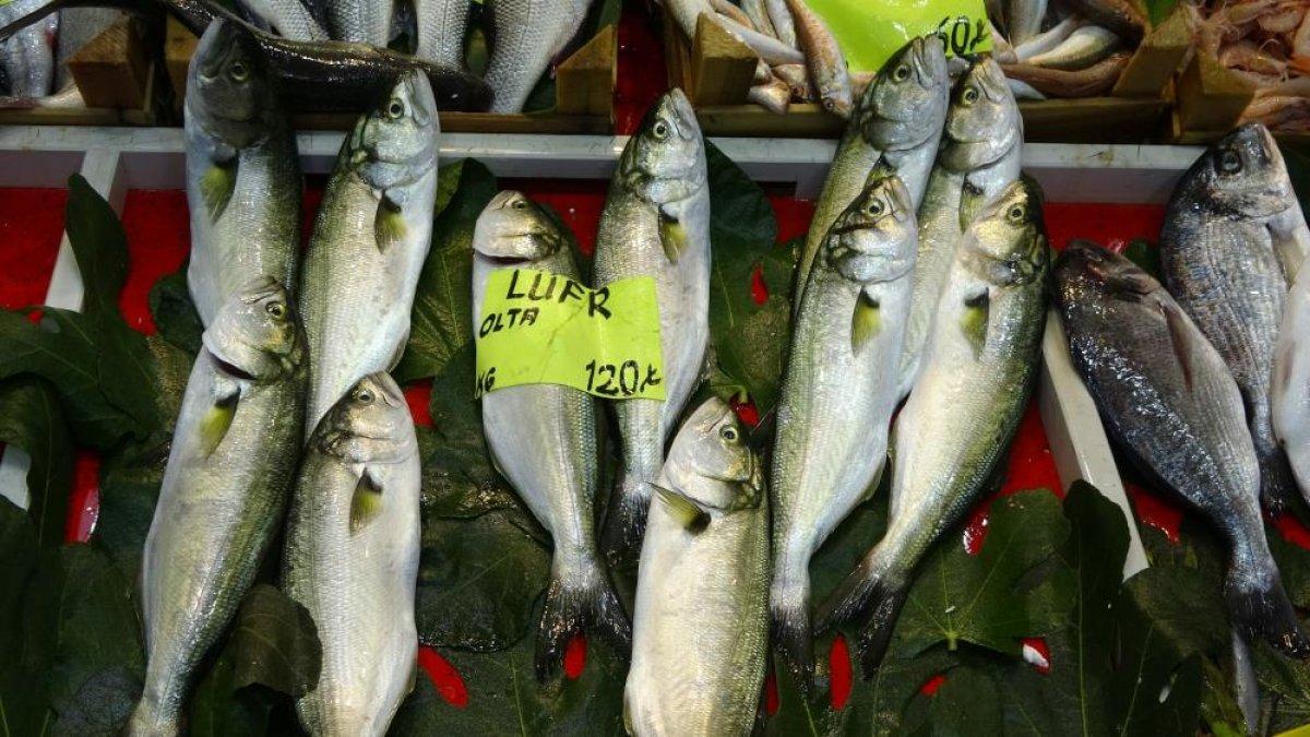 Çanakkale’de tezgahlarda lüfer bolluğu yaşanıyor