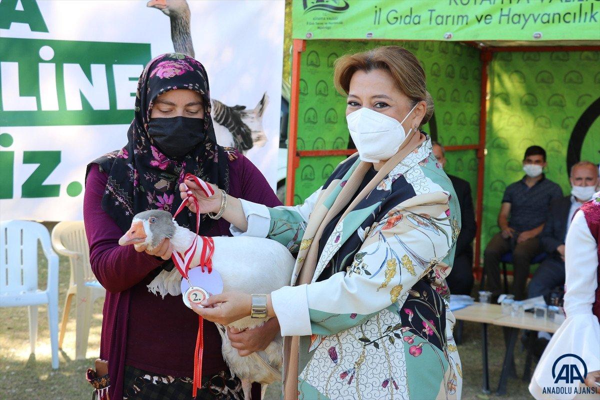 Kütahya'da ilk kez 'Kaz Festivali' düzenlendi