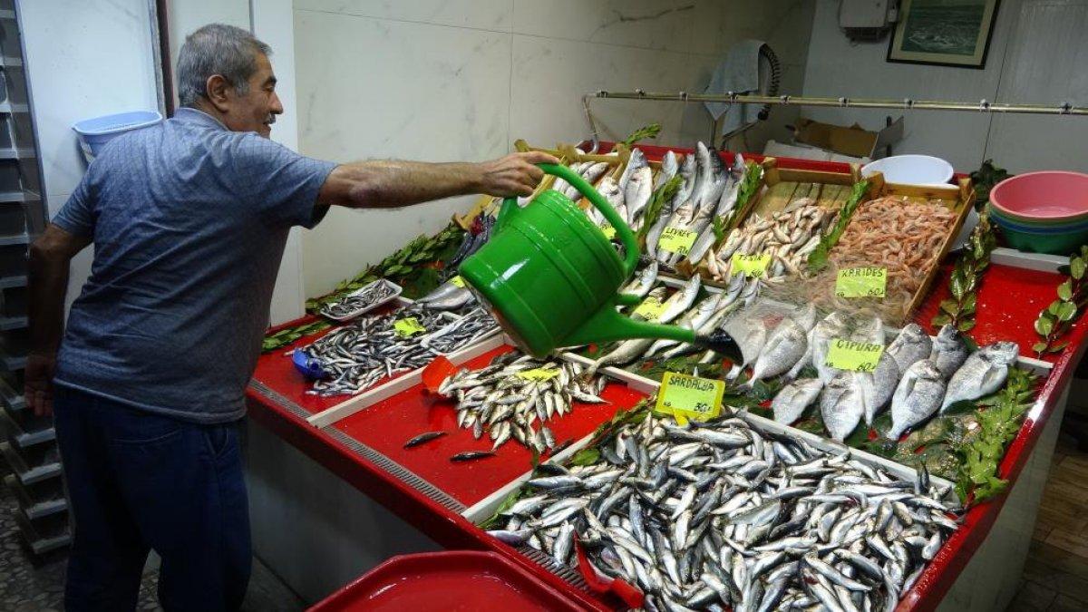 Çanakkale’de tezgahlarda lüfer bolluğu yaşanıyor