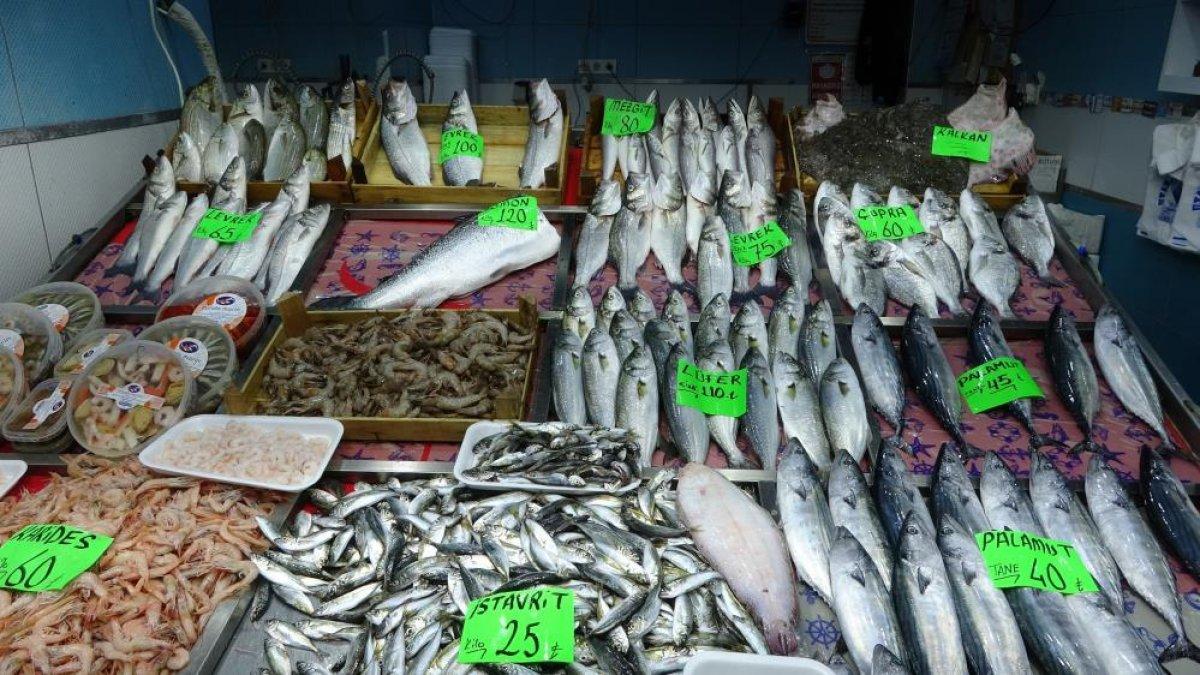 Çanakkale’de tezgahlarda lüfer bolluğu yaşanıyor