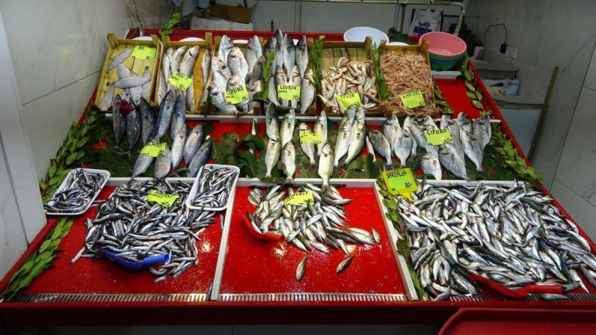 Çanakkale’de tezgahlarda lüfer bolluğu yaşanıyor