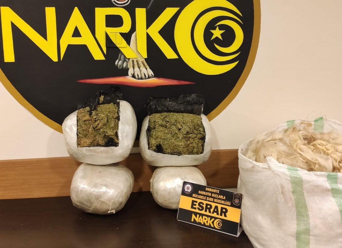 Osmaniye’de, koyun yünlerinin arasından esrar çıktı