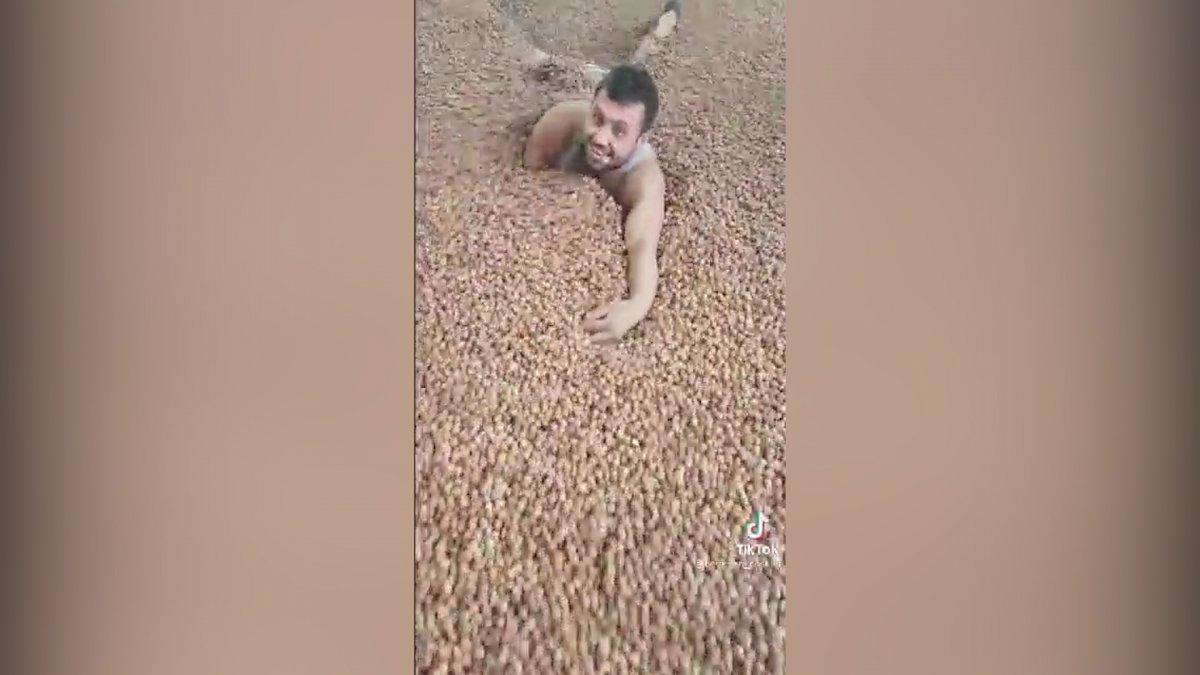 Ordu'daki TikToker, fındıkların içinde yüzüyor