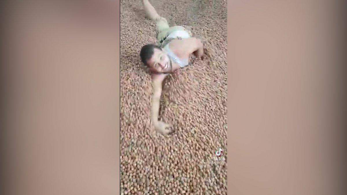 Ordu'daki TikToker, fındıkların içinde yüzüyor