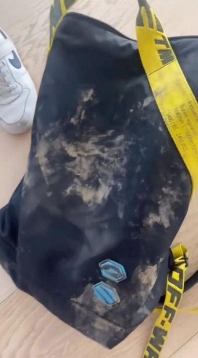 Shakira, iki yaban domuzunun saldırısına uğradı