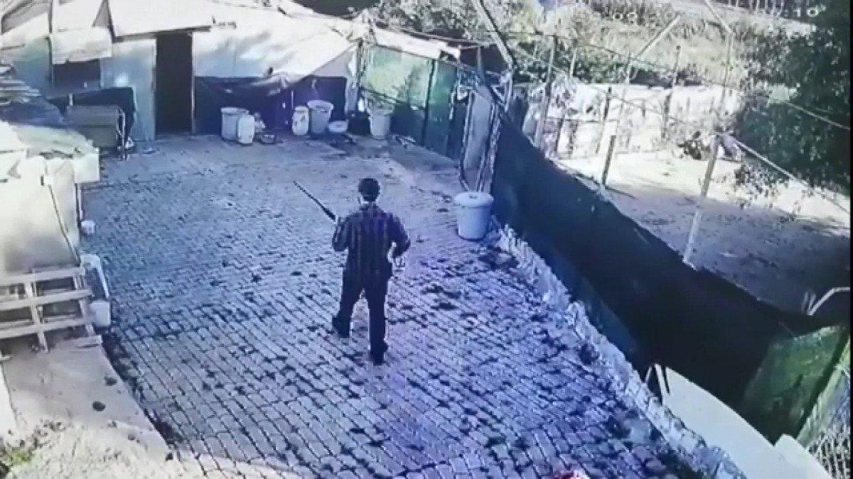 Tuzla’da, köpeği ile dalaşan köpeğe av tüfeği ile ateş etti