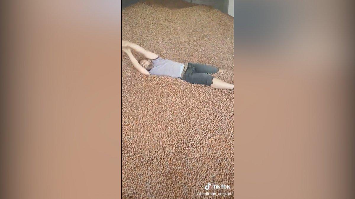 Ordu'daki TikToker, fındıkların içinde yüzüyor