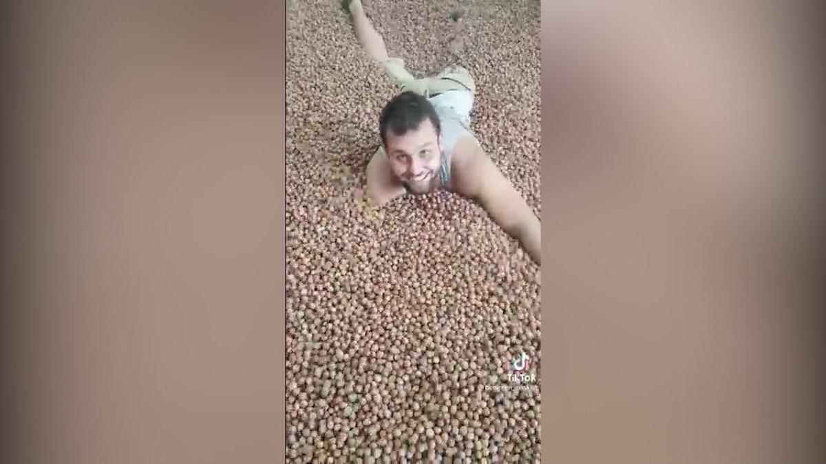 Ordu'daki TikToker, fındıkların içinde yüzüyor