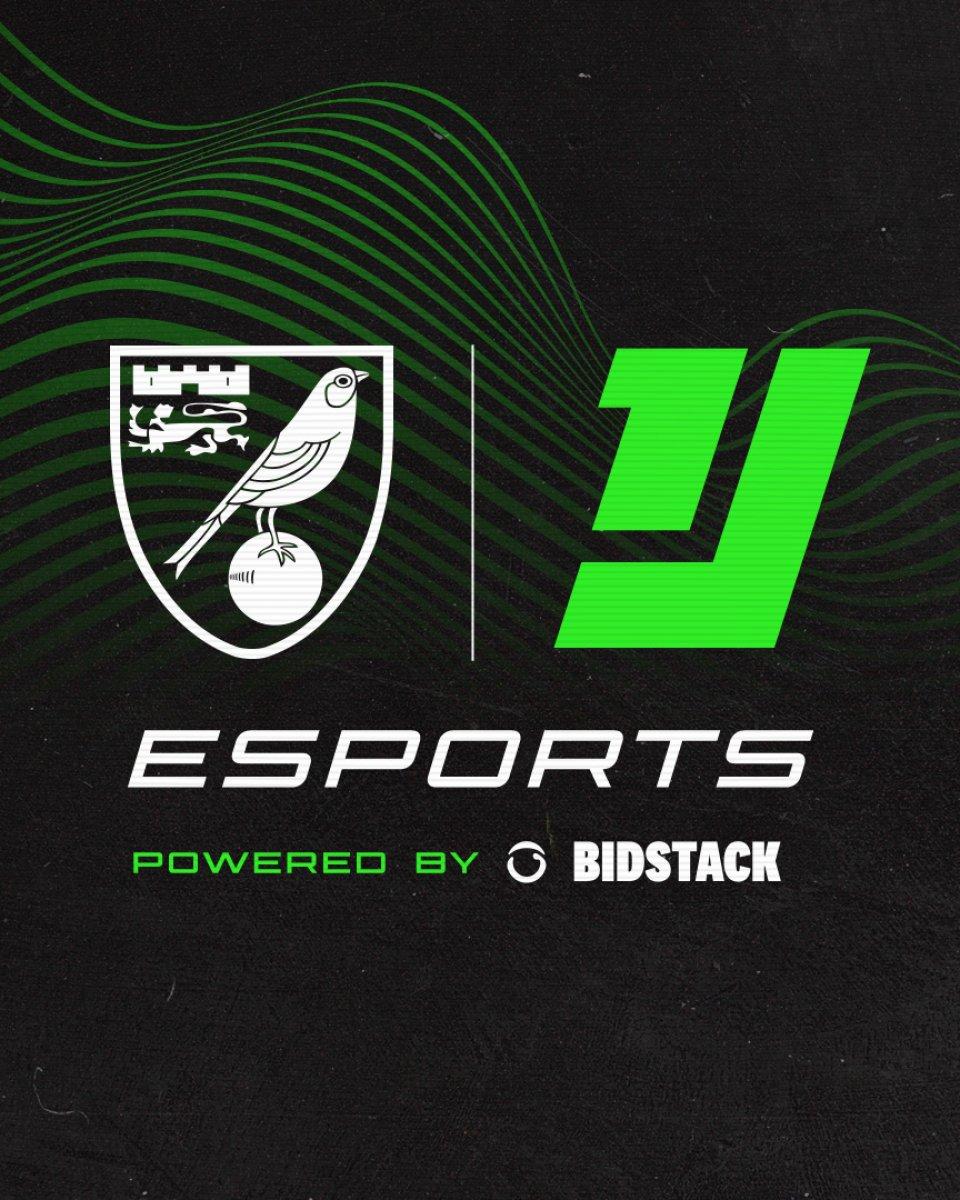 Norwich City espor takımı kurdu