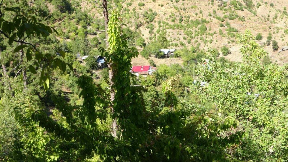 Toros Dağları'ndan sonbahar manzaraları