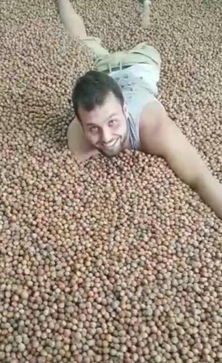 Ordu'da fındık içinde yüzen TikToker, o görüntüleri anlattı