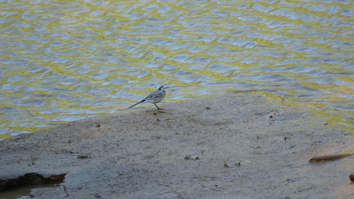 Toros Dağları'ndan sonbahar manzaraları