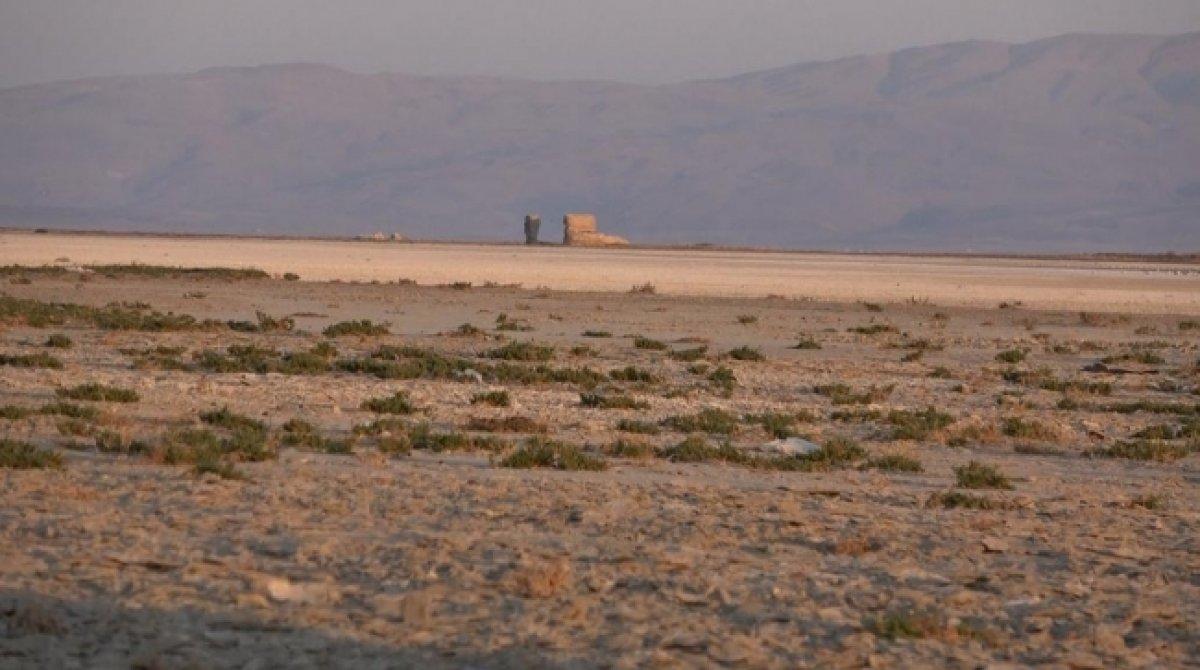 Van Gölü'nün çekildiği alana mısır ekti, 400 ton ürün elde etti