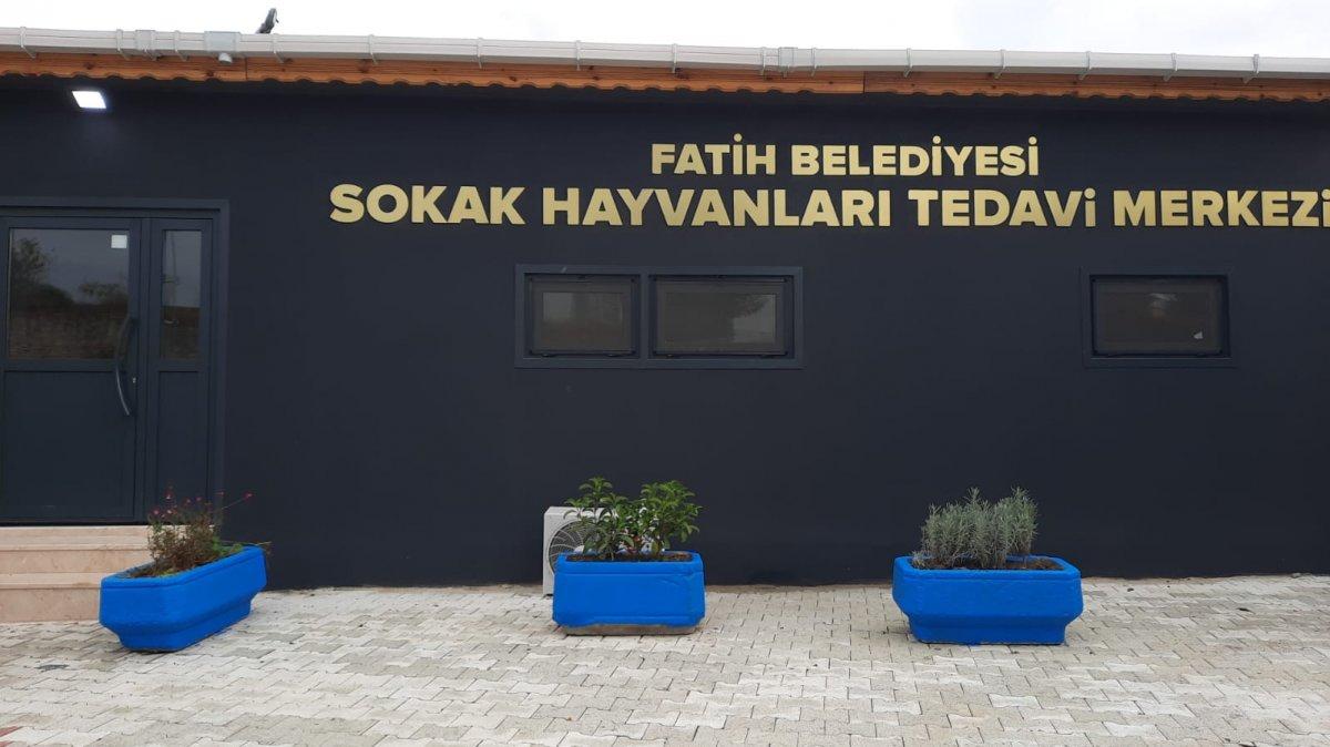 Fatih Belediyesi'nden sokak hayvanları için tedavi merkezi