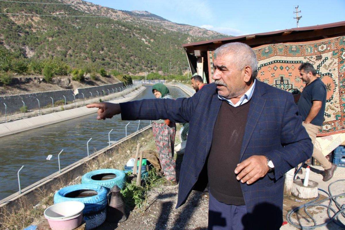 Yeşilırmak'ta balıklar oksijen yetersizliğinden ölüyor