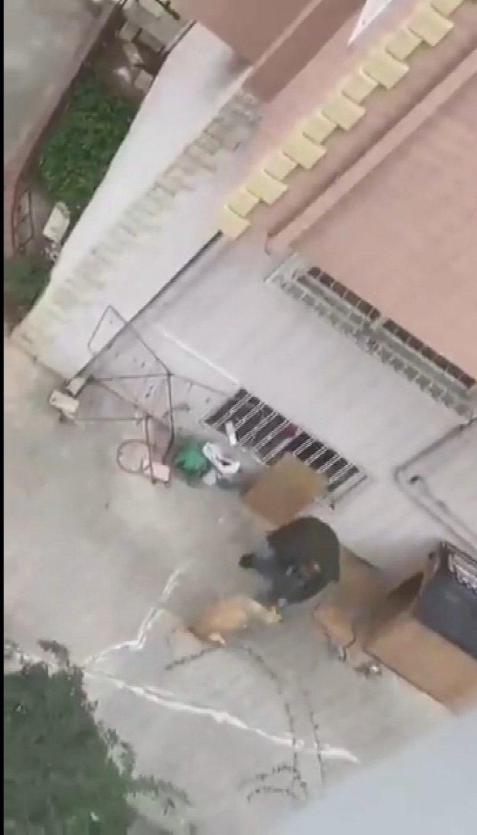 Maltepe’de, köpeğe yumruk atıp şiddet uyguladı