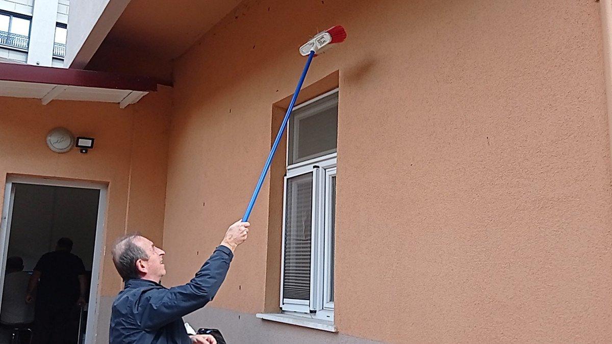 Düzce'de evleri tırtıl bastı