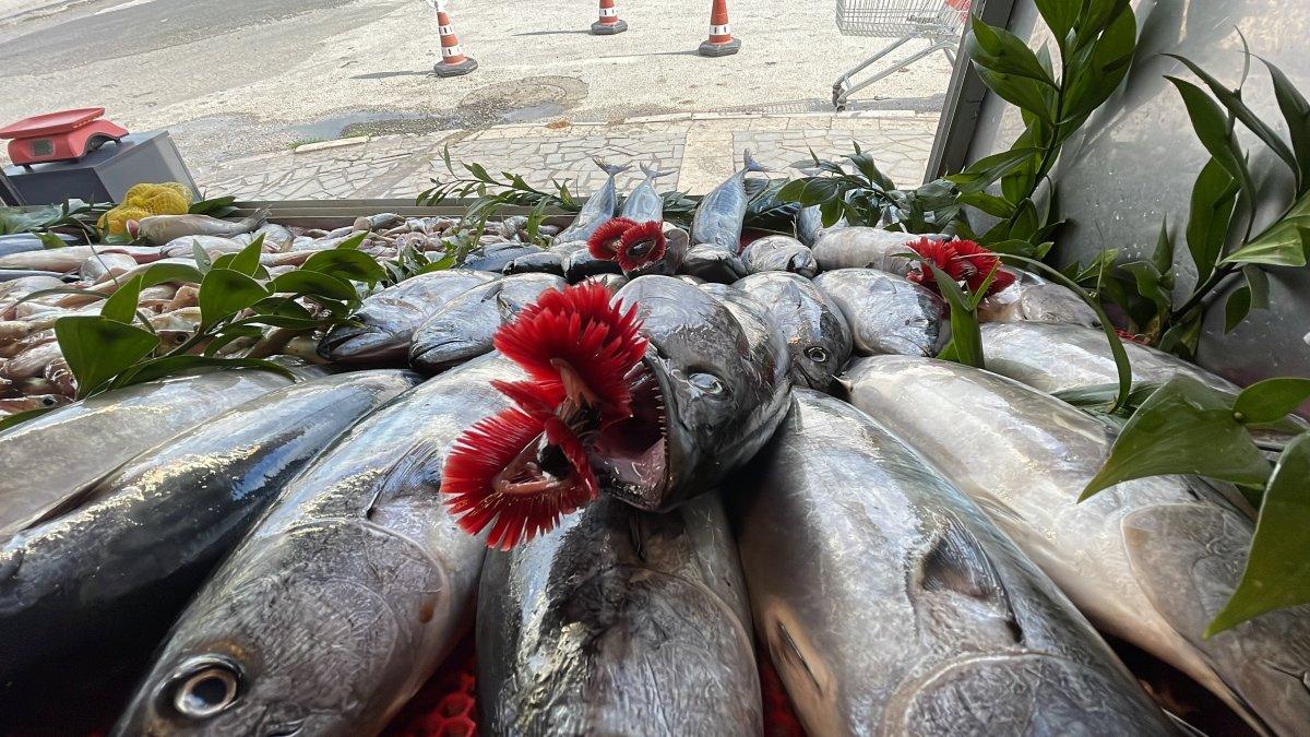 Batı Karadeniz'de hamsi azaldı, palamut tezgahtaki yerini aldı