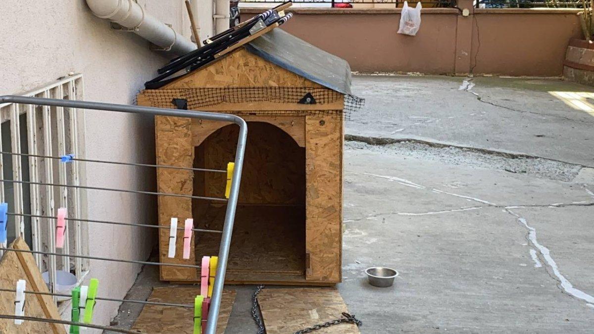 Maltepe’de, köpeğe yumruk atıp şiddet uyguladı