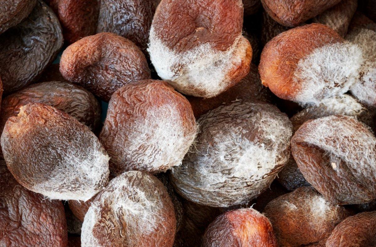 Yiyeceklerden küfü çıkarıp kalanını yemenin riskleri