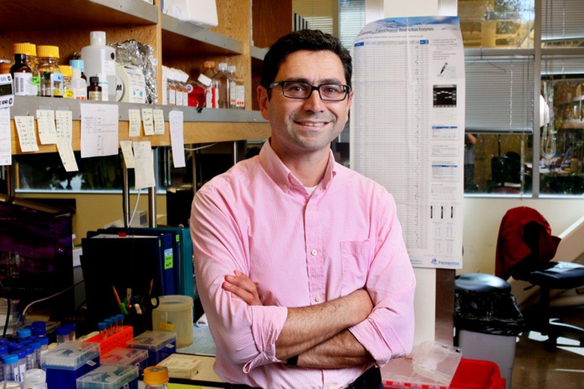 2021 Nobel Tıp Ödülü sahibini buldu