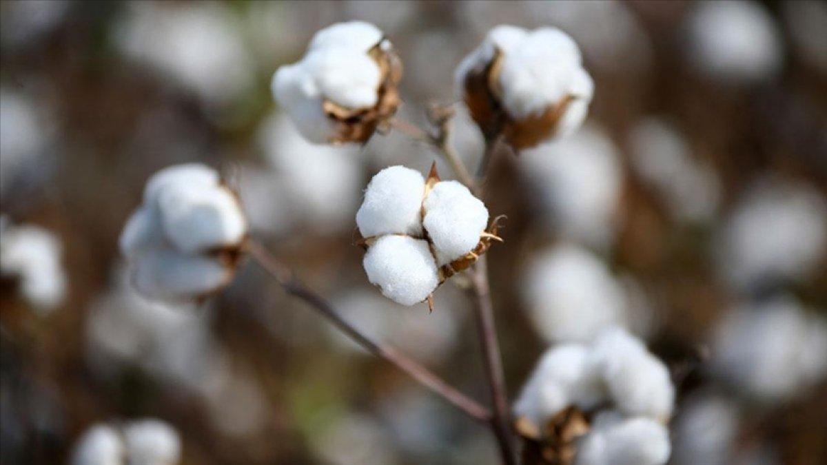 Emtia piyasaları dalgalı