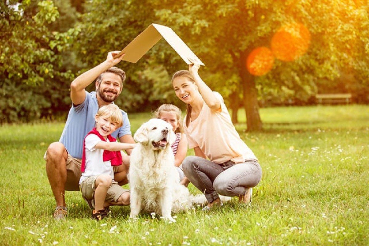 Hayvan sevgisinin çocuklar üzerindeki iyileştirici etkileri