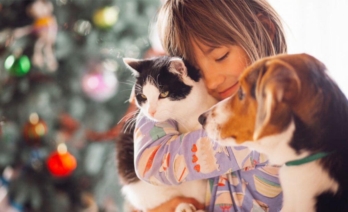 4 Ekim Hayvanları Koruma Günü 2021: Hayvan sevgisi ile ilgili anlamlı sözler