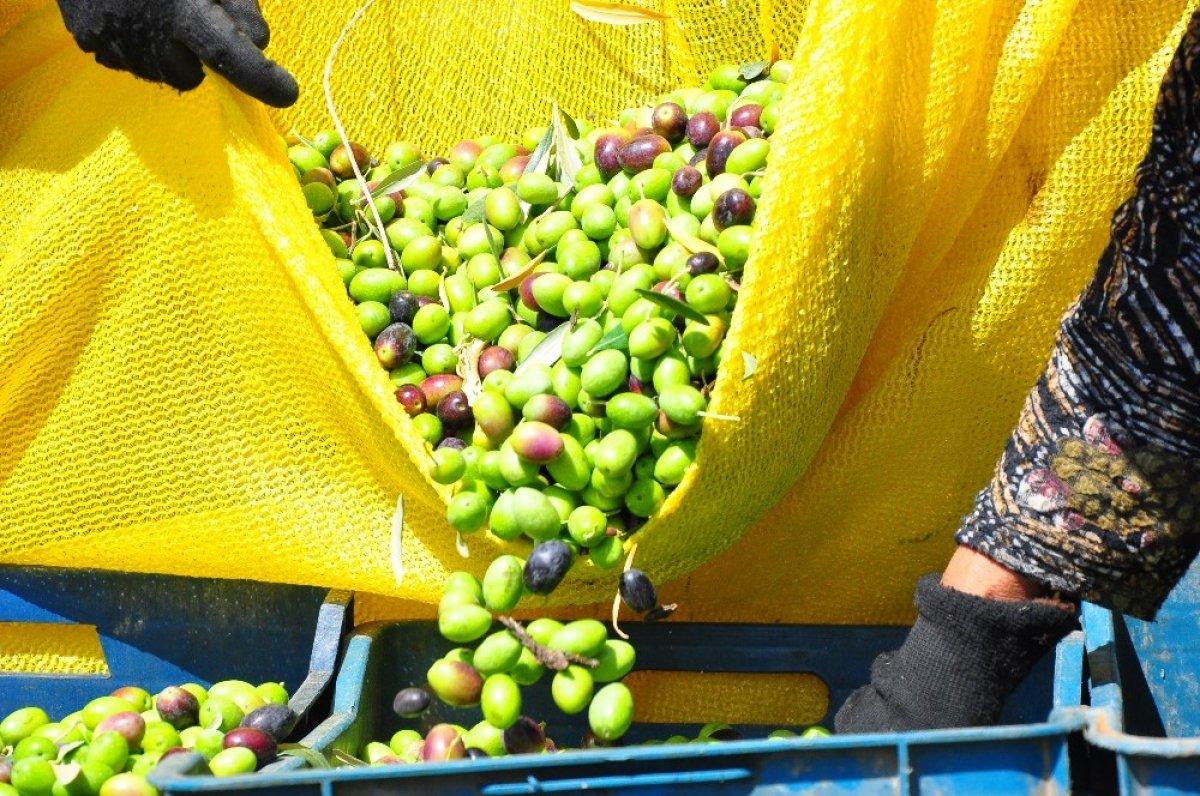 Tarım ihracatı arttı