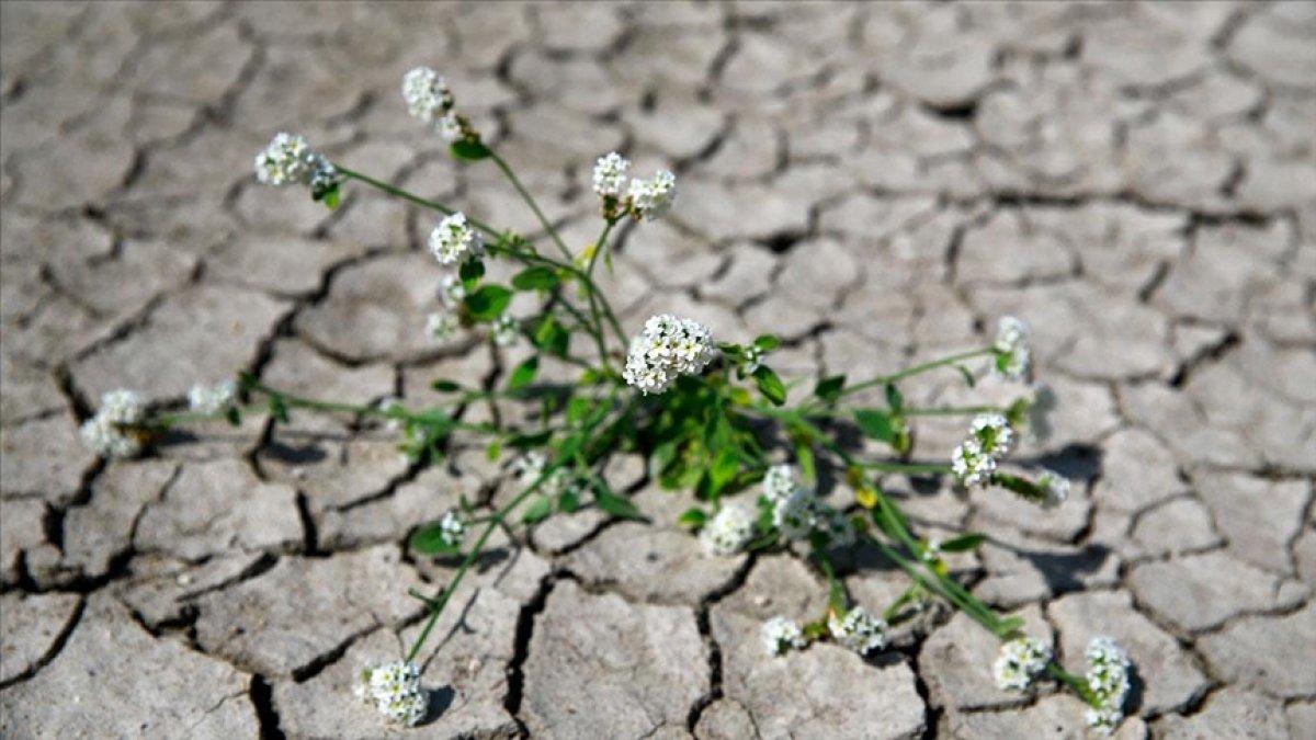Türkiye'nin iklim değişikliğiyle mücadelesinde yol haritası 'İklim Şurası'yla oluşturulacak