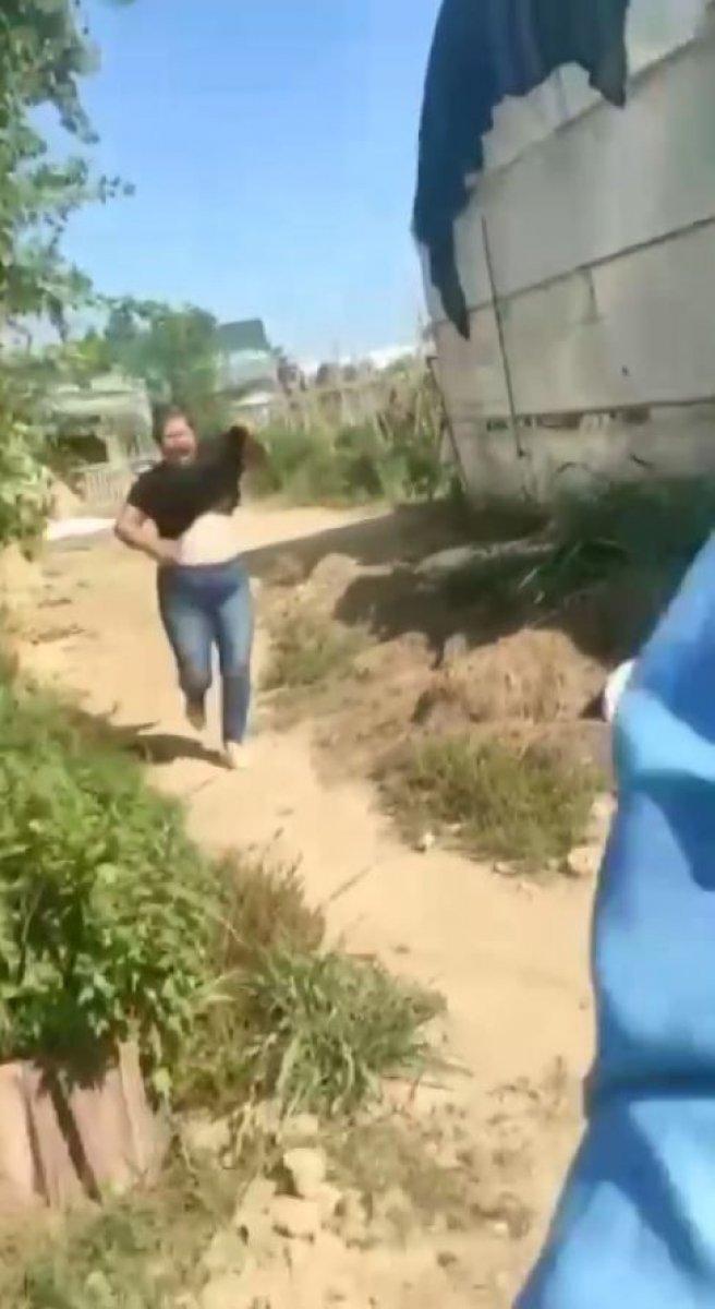 Antalya’da, ejder meyvesi yüzünden çıkan tartışma karakolda bitti