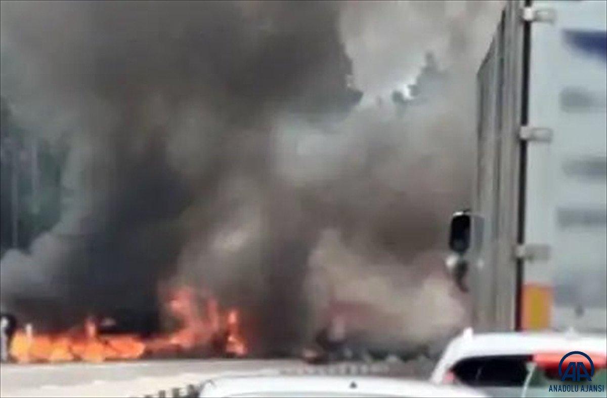 İslam karşıtı İsveçli karikatürist Vilks trafik kazasında öldü