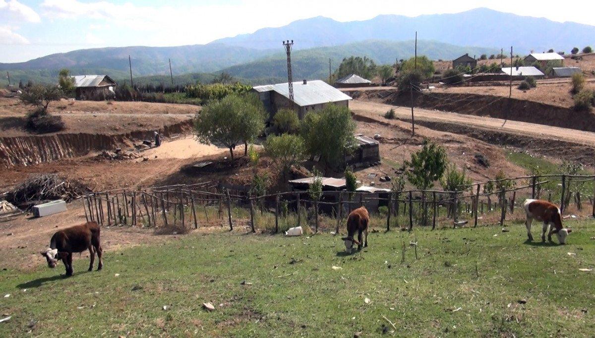 Muş'ta 28 yıl sonra köylerine döndüler