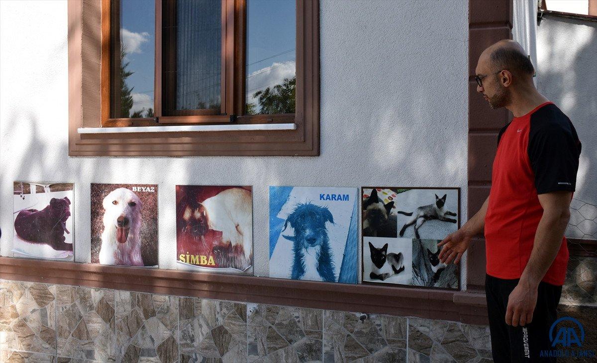 Kırıkkale'de 7 yıldır sahipsiz hayvanların bakımlarını üstleniyor