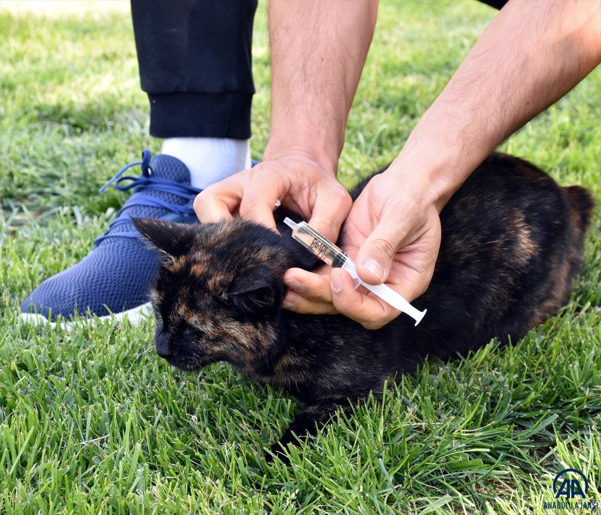 Kırıkkale'de 7 yıldır sahipsiz hayvanların bakımlarını üstleniyor