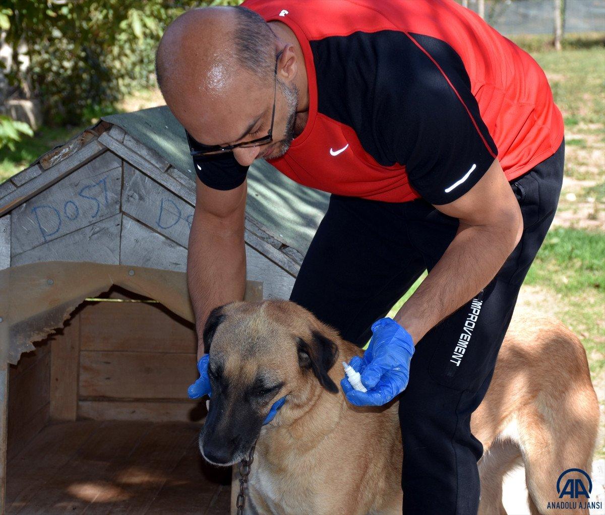 Kırıkkale'de 7 yıldır sahipsiz hayvanların bakımlarını üstleniyor