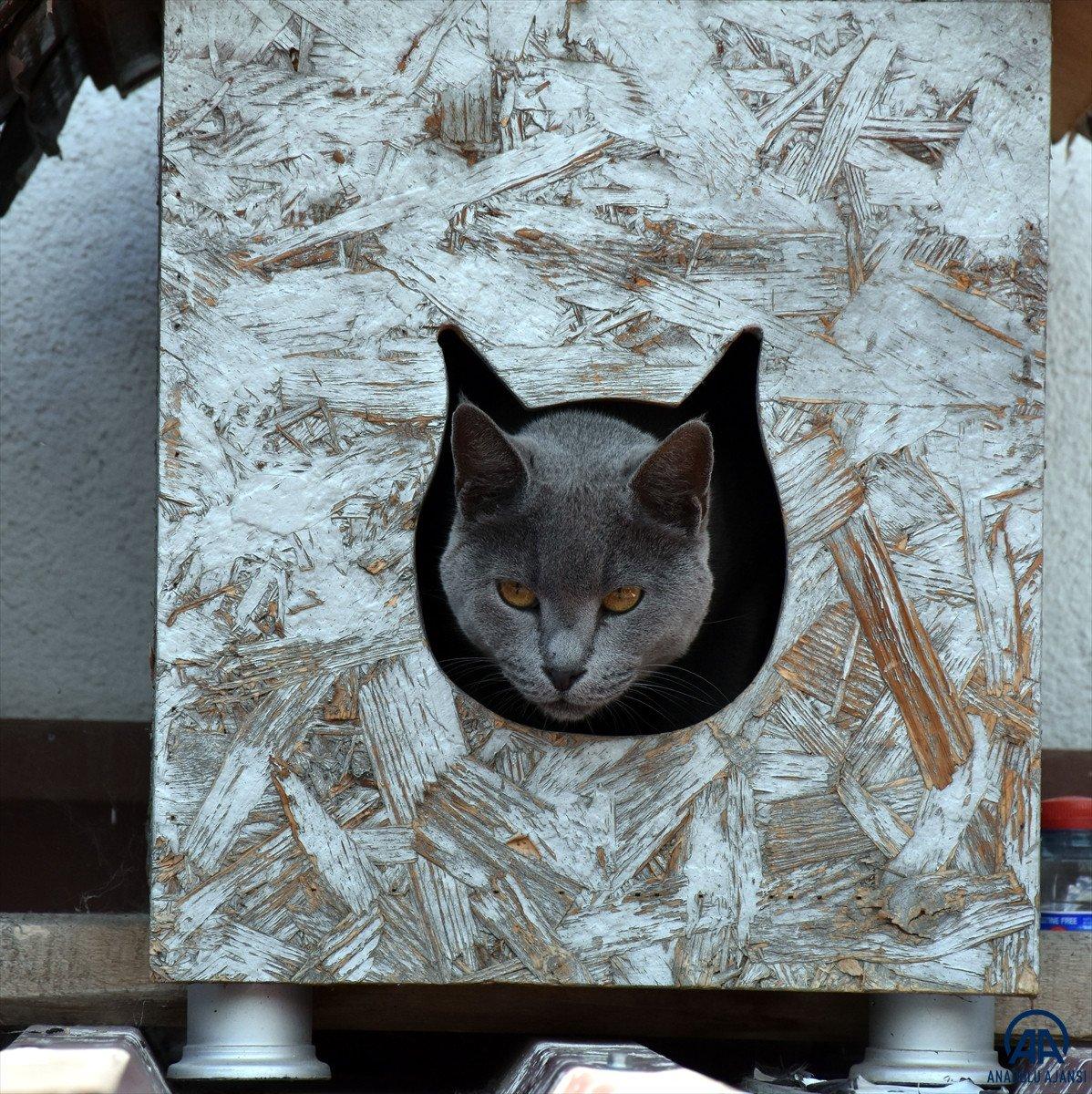 Kırıkkale'de 7 yıldır sahipsiz hayvanların bakımlarını üstleniyor