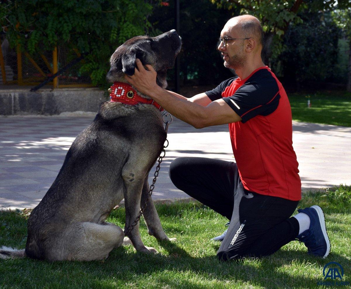Kırıkkale'de 7 yıldır sahipsiz hayvanların bakımlarını üstleniyor