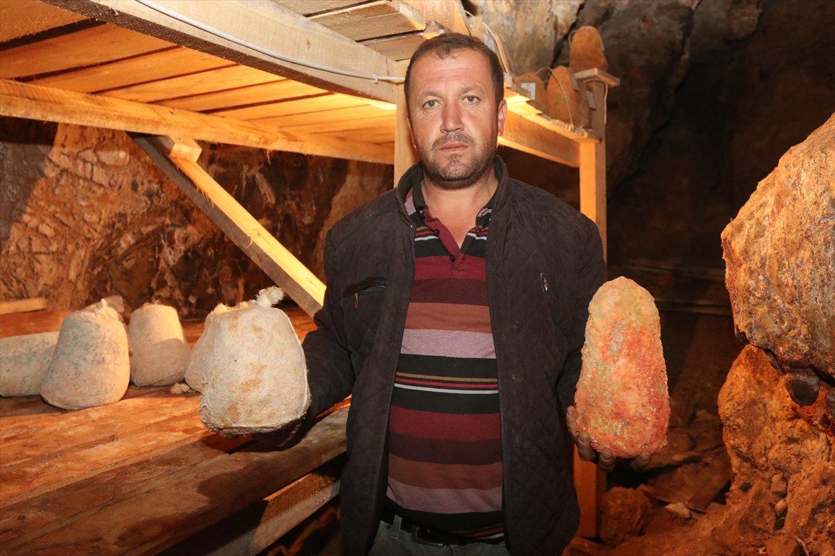 Divle Peyniri, Karaman'a ait