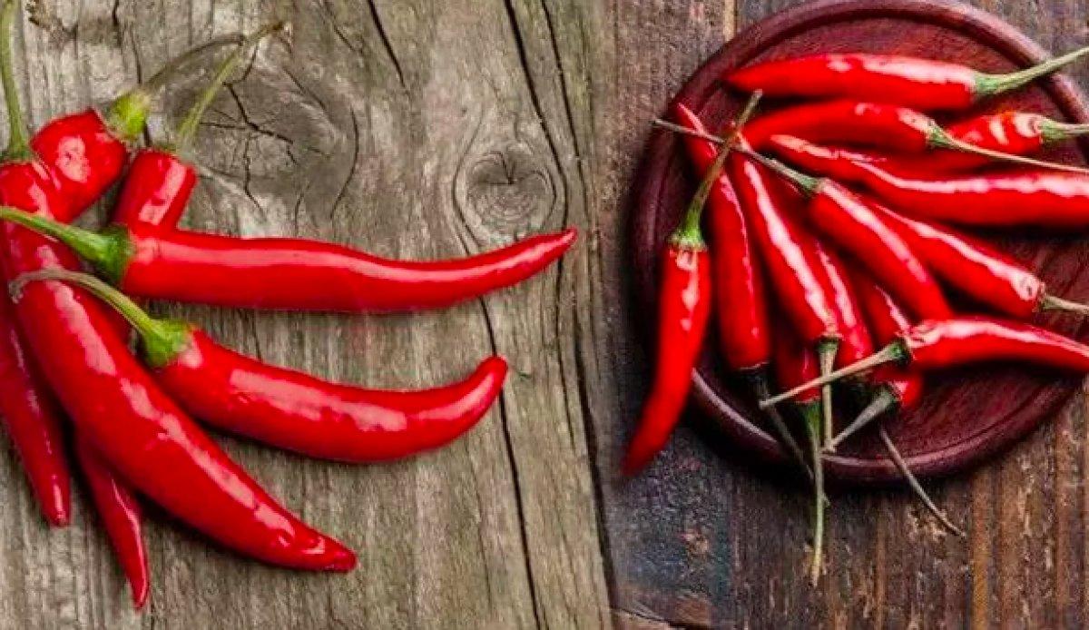 Yedikleri acı biber, Nobel Tıp Ödülü'nü kazandırdı