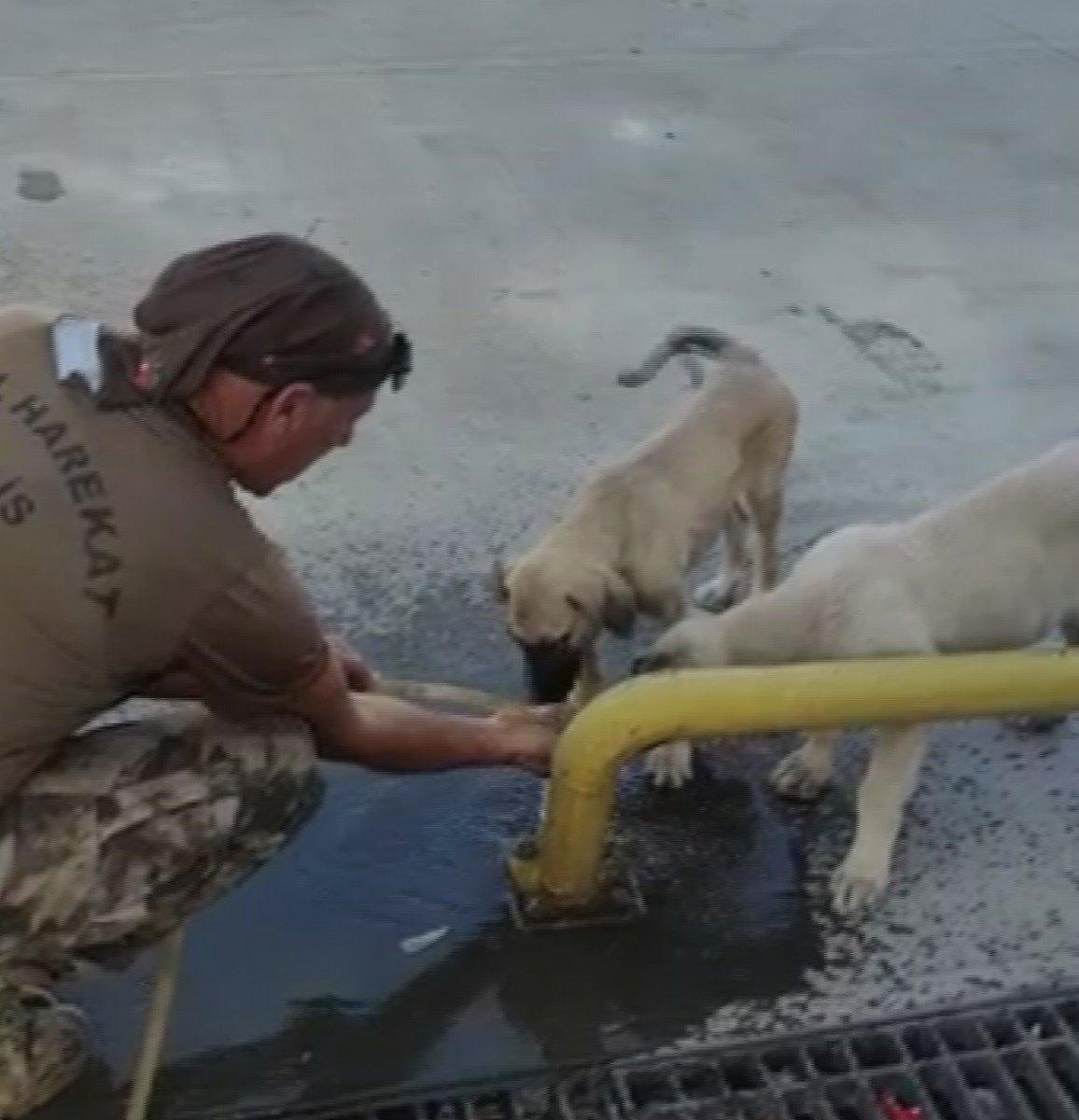Malatya'da özel harekat polisi yaptığı hareketle yürekleri ısıttı