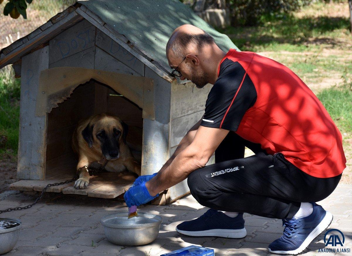 Kırıkkale'de 7 yıldır sahipsiz hayvanların bakımlarını üstleniyor