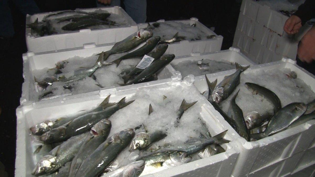 Lüfer bolluğu yaşandı