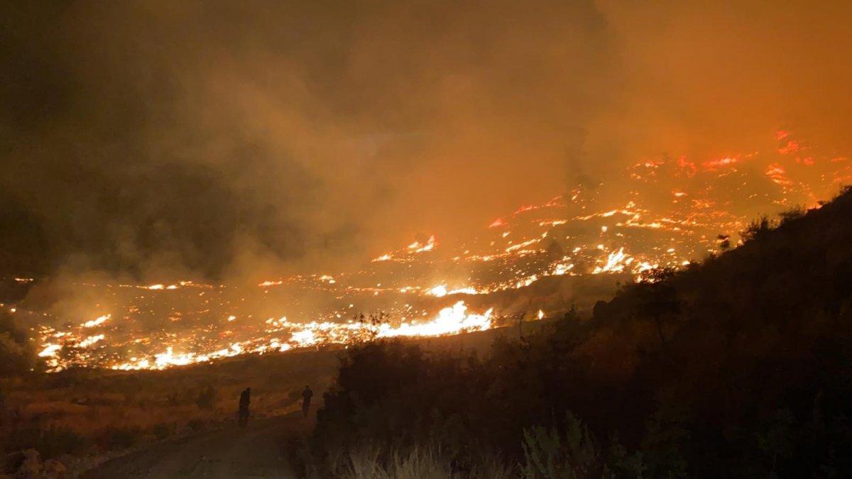 Muğla'da gece başlayan yangın kontrol altına alındı