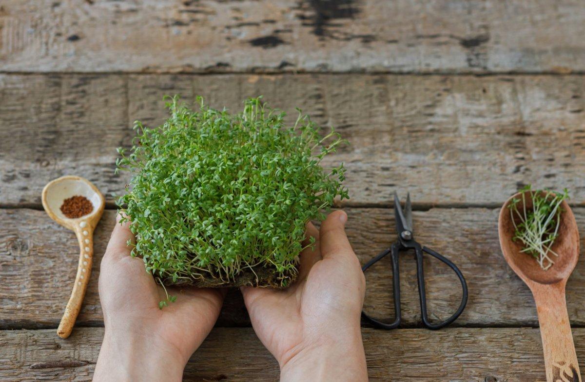 Su teresinin 10 inanılmaz faydası