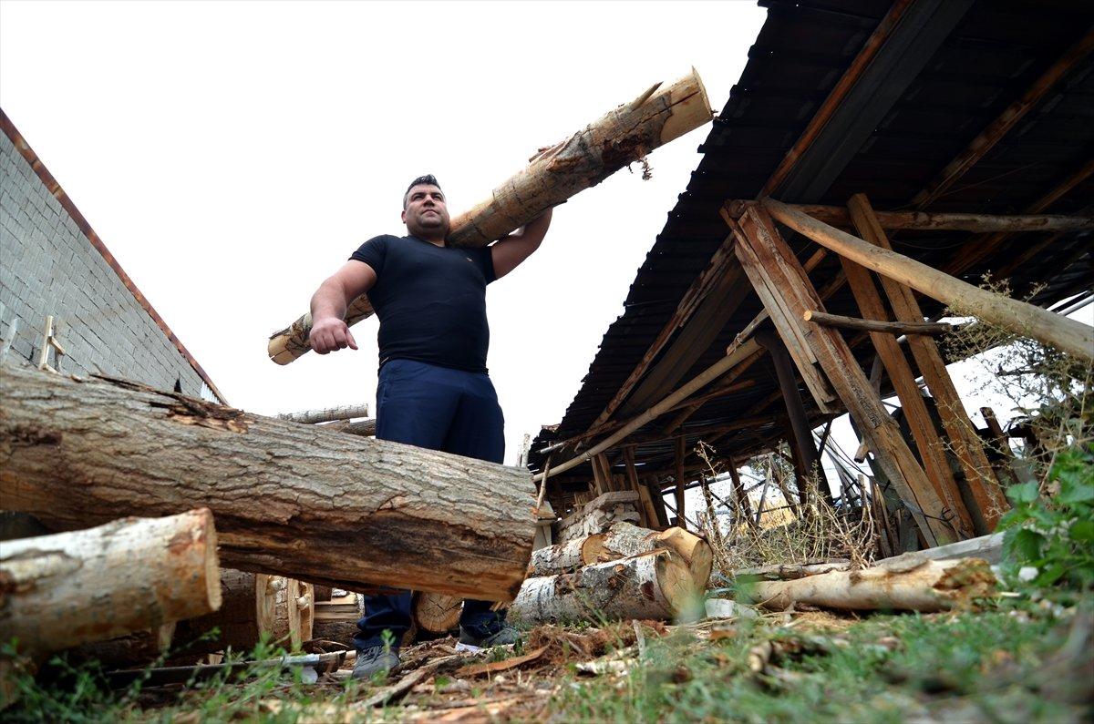 Milli sporcu tomruk taşıyarak şampiyonaya hazırlanıyor